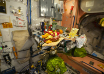 Astronaut Creates An Out-Of-This-World Burger