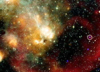Astronomers Investigate Uniquely Eccentric Stars Behavior.jpg