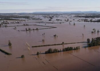 Australia starts recovery efforts post-floods with five dead, 10K homes hit