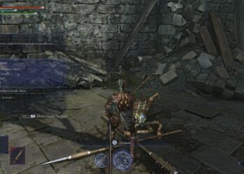 Completing the Executor Role in Elden Ring Nightreign: A Guide