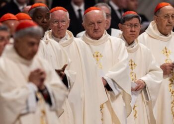 Doves, Deaths, and Rations: The Evolution of Papal Elections