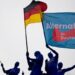 German Spy Agency Labels Far-Right AfD as 'Extremist Group'