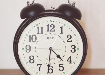 Roku Channel web browser