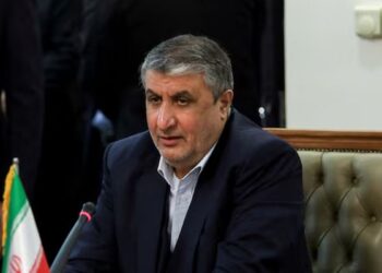 Iran Might Permit US Inspectors from Nuclear Watchdog if Agreement Reached