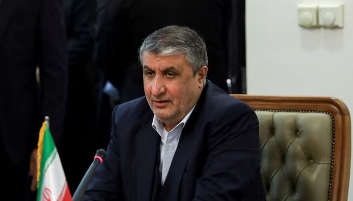 Iran Might Permit US Inspectors from Nuclear Watchdog if Agreement Reached