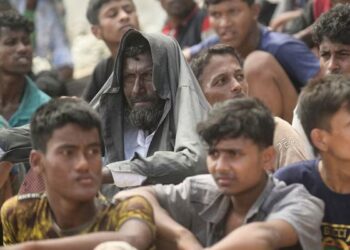 UN Expert Calls Claims of Indian Navy Pushing Rohingyas to Sea 'Unconscionable'