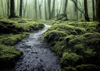 ai generated 7516306 960 720.jpg