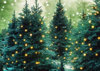 ai generated 7570062 960 720.jpg