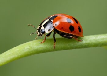 ai generated 9066515 960 720.jpg