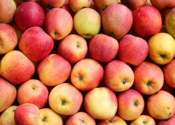 apples 7566512 960 720.jpg