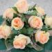 colorful artificial roses 4413679 960 720.jpg