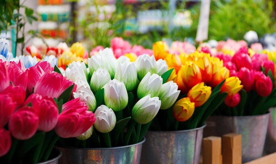 flower 69490 960 720.jpg