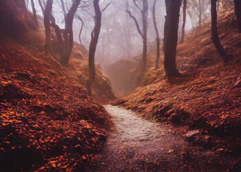 path 7611670 960 720.jpg