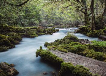 river 7459833 960 720.jpg