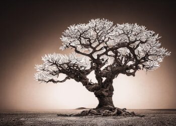 tree 7611689 960 720.jpg