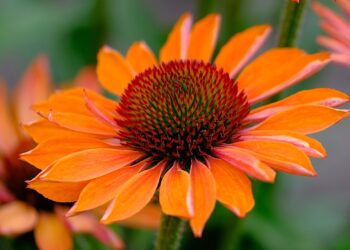 How to Set Up and Install Smart Lights for Your Home