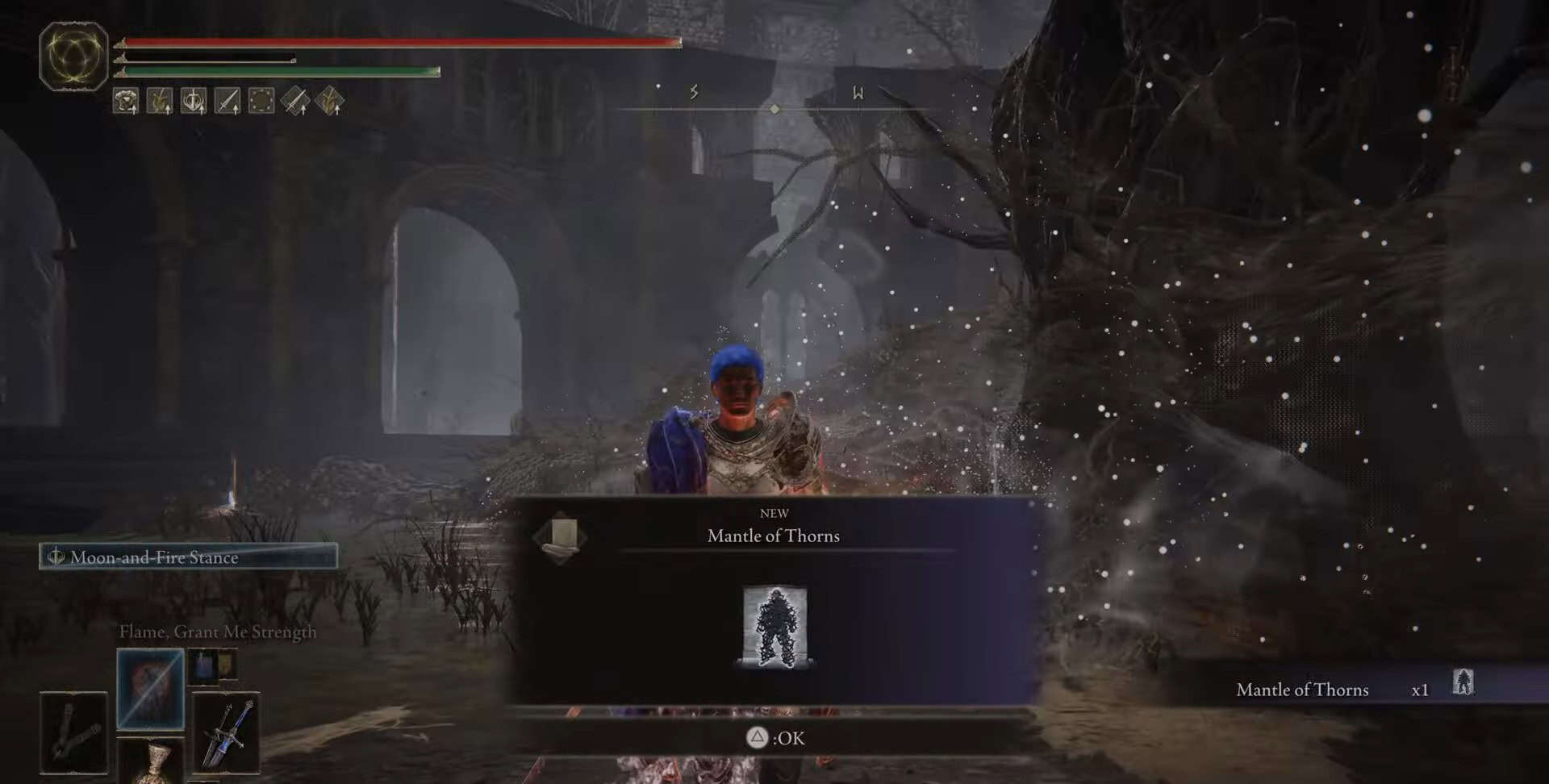 Mantle of Thorns item