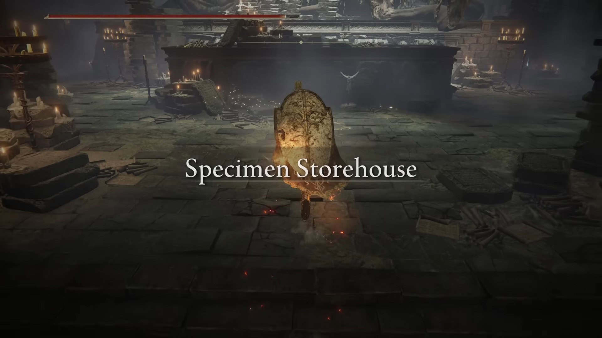 Specimen Storehouse Area