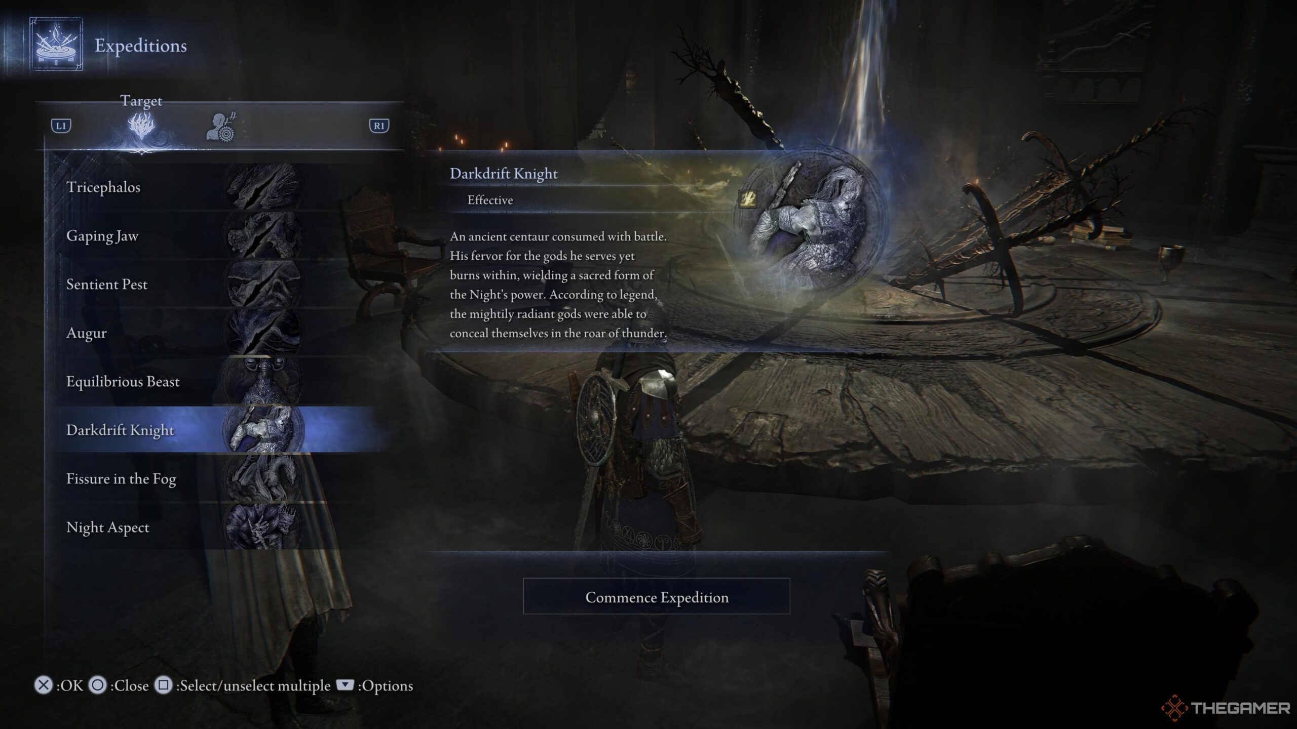 Completing the Challenge: Solving Fulghor, Nightglow's Champion