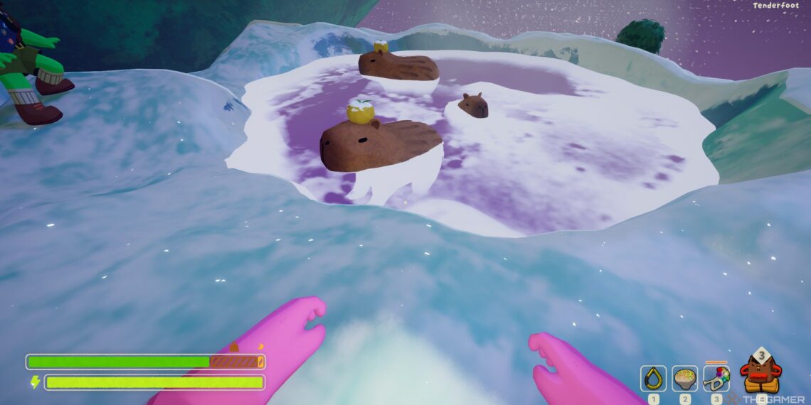 Completing the Quest: Solving Capybara Locations in Peak