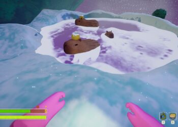 Completing the Quest: Solving Capybara Locations in Peak