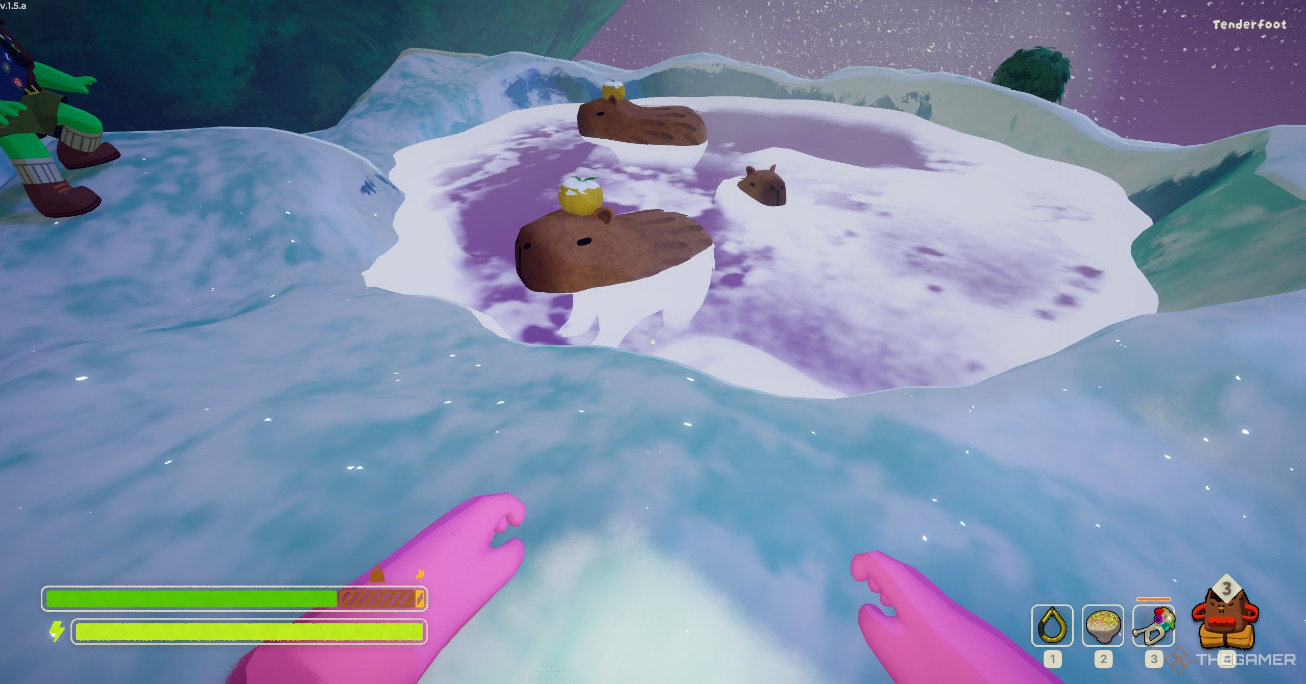 Completing the Quest: Solving Capybara Locations in Peak