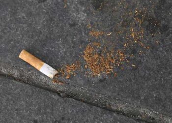 France Prohibits Smoking on Beaches, Parks, and Bus Shelters