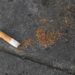 France Prohibits Smoking on Beaches, Parks, and Bus Shelters