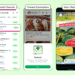 Get Ready for Ads the Next Time You Open WhatsApp!