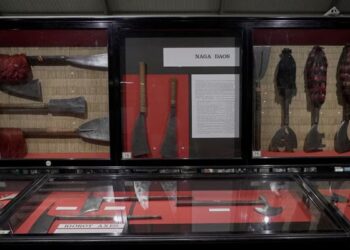 Indian Tribes Journey to UK Museum to Retrieve Ancestors' Bones