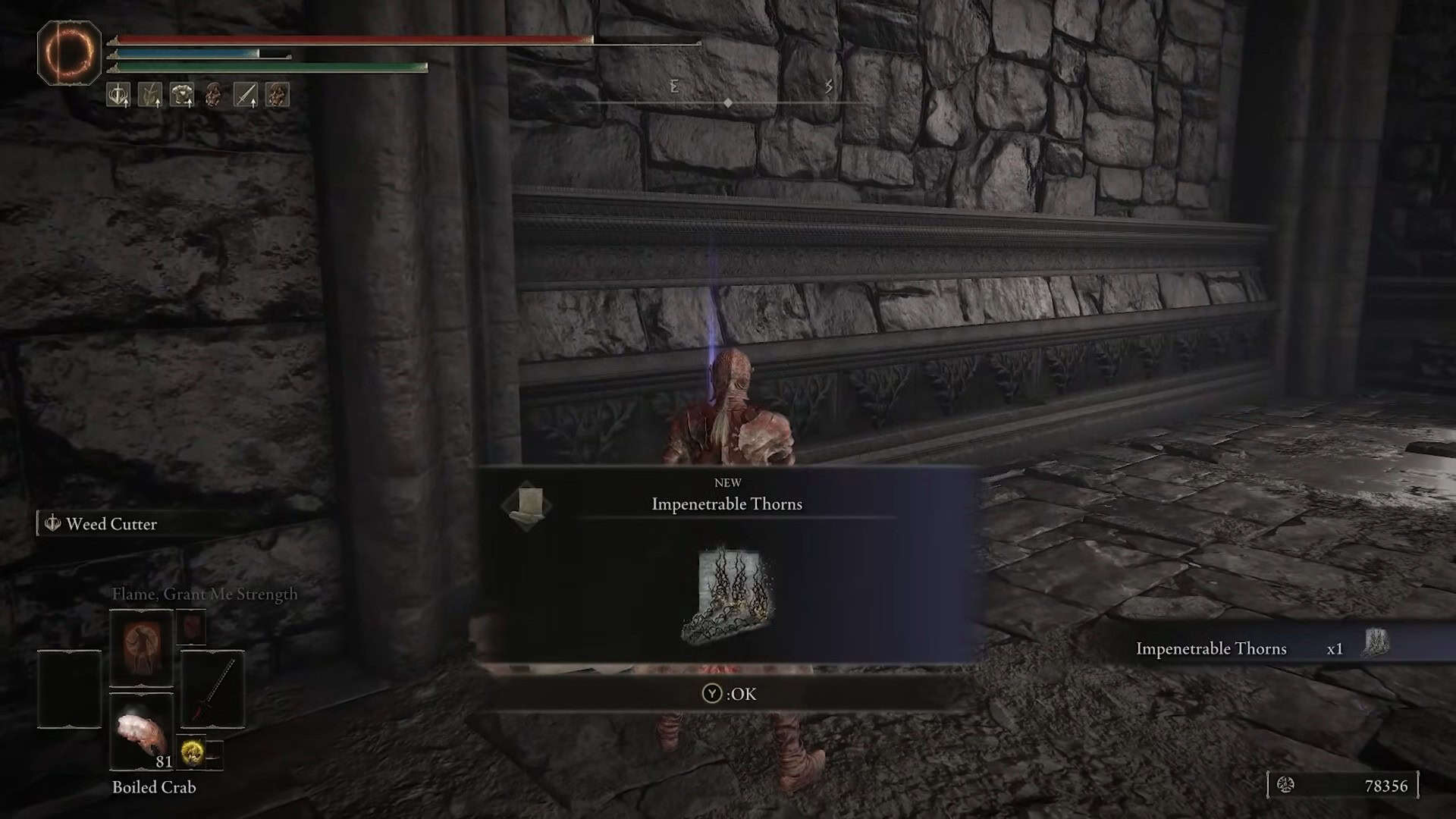 impenetrable thorns sorcery location