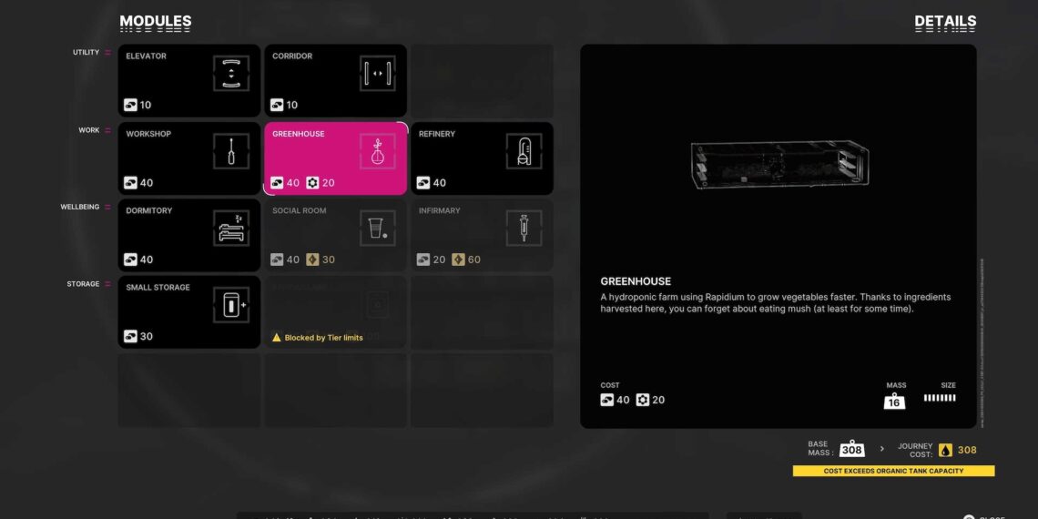 Raw to Ready: Transforming Ingredients into Delicious Meals