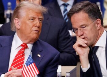 Rutte's Trump Nickname Sparks Curiosity: Who's the Daddy?