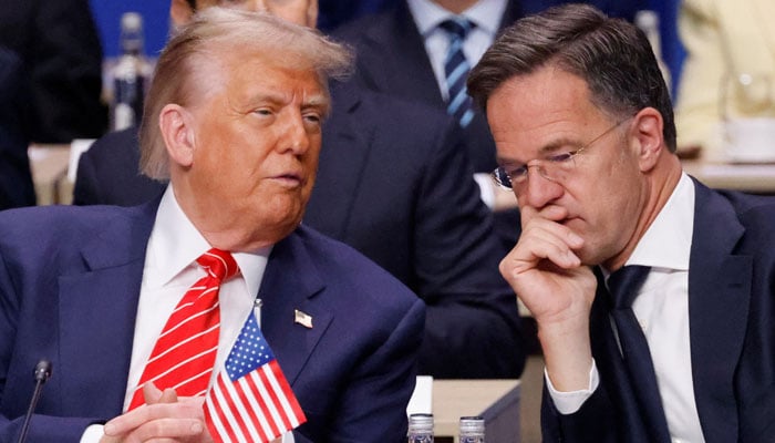Rutte's Trump Nickname Sparks Curiosity: Who's the Daddy?
