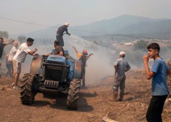Thousands Evacuate Turkiye Wildfires Amid Early European Heatwave