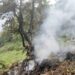 Toddler Among Seven Lives Lost in Indian Helicopter Crash