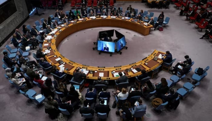 UN at 80: Navigating New Waves of Skepticism