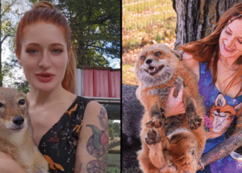 YouTuber and Fox Rescuer Mikayla Raines, 31, Dies by Suicide