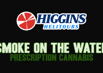 Your Complete Guide to the GTA Online Money Fronts Update