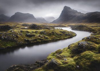 ai generated 7483576 960 720.jpg