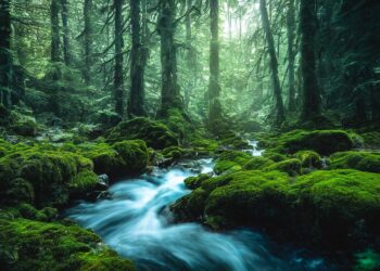 ai generated 7516335 960 720.jpg