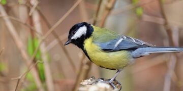 Whose actions most changed the course of human history. 

1.  Muhammad
2.  Isaac