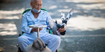 Nations culturally similar to Ireland:

01. Australia  = 82%
02. United Kingdom