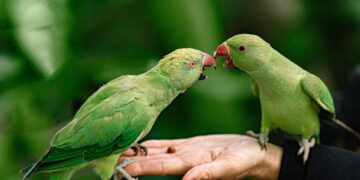 Europe’s Projected Population Crash by 2100

2025-2100 population change:

 Ukra