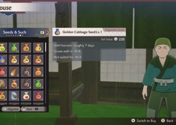 Completing Your Gear: Where to Sell Equipment and Seeds in Rune Factory: Guardians of Azuma