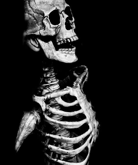 skull 220019 960 720.jpg