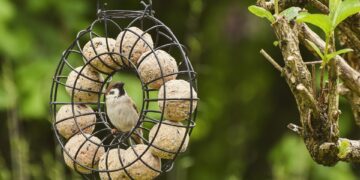 Top coffee consuming countries (kg per capita annually):

 Finland: 9.6
 Norway