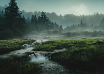 sunset 7459802 960 720.jpg