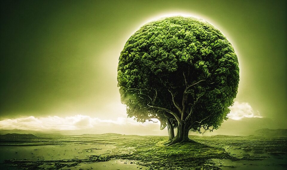 tree 7611692 960 720.jpg