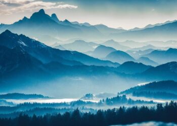 trees 7611823 960 720.jpg